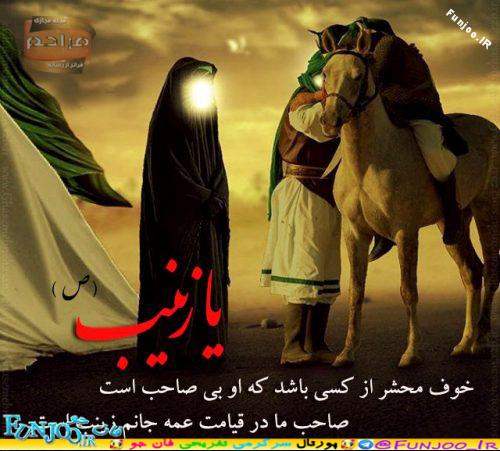 کاظم عباس پور کربلا ره خون بییته